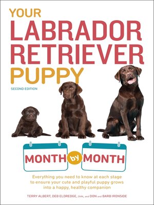 cover image of Your Labrador Retriever Puppy Month by Month